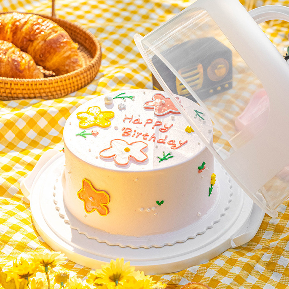 Cake Storage Box 10 Inch Round - Food Storage Box Plastic 评论和价格
