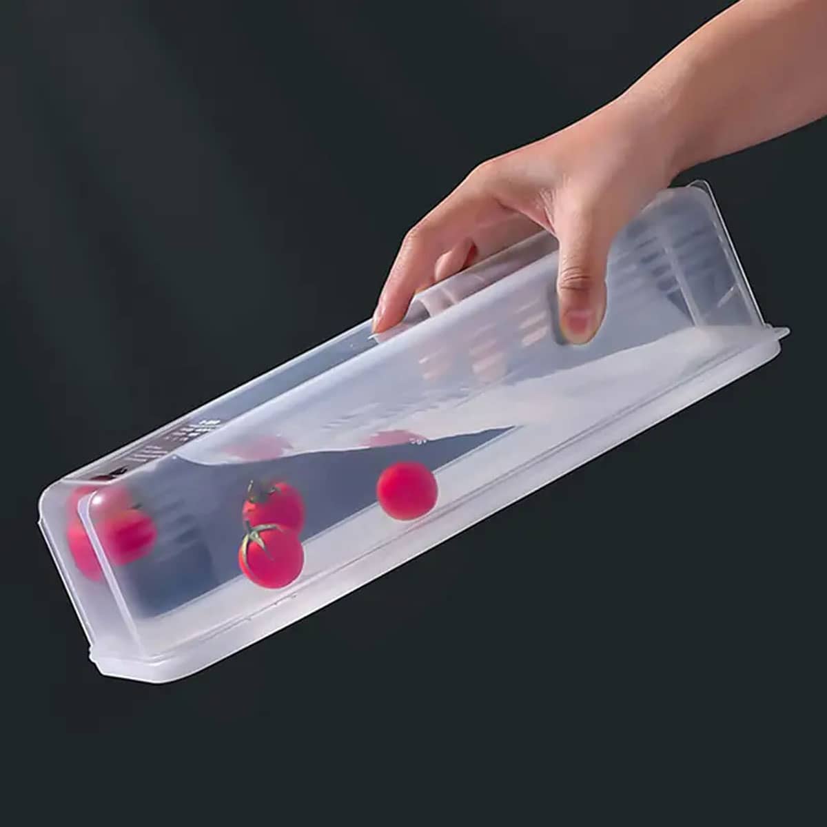 1 Plastic Transparent Storage  - Food Storage Box Plastic 评论和价格